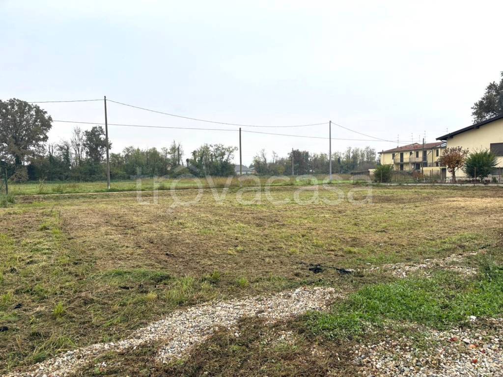 immagine annuncio 3 di 7