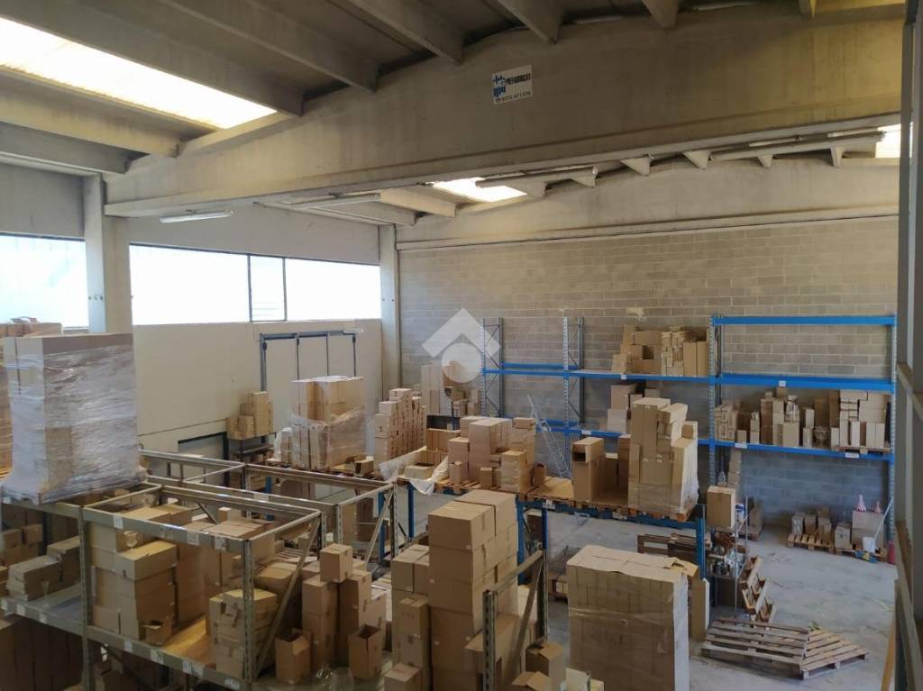 immagine annuncio 11 di 15