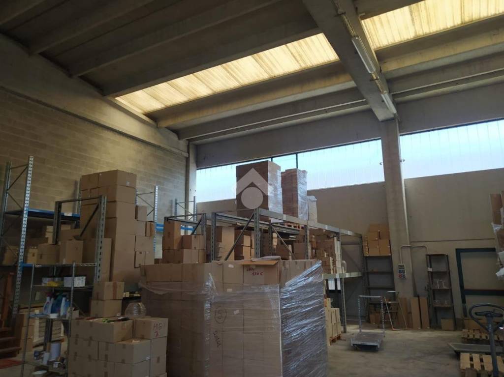 immagine annuncio 12 di 15