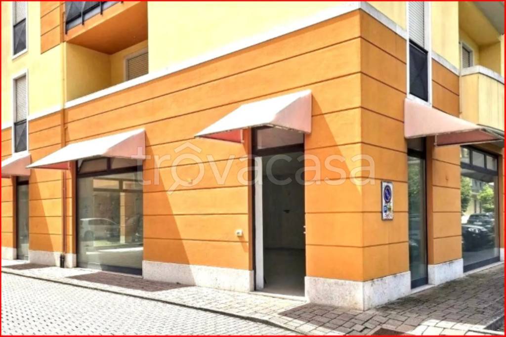 immagine annuncio 4 di 12