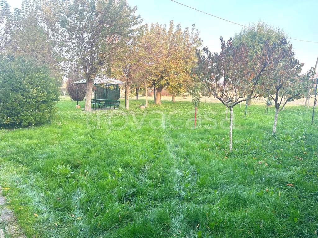 immagine annuncio 4 di 6