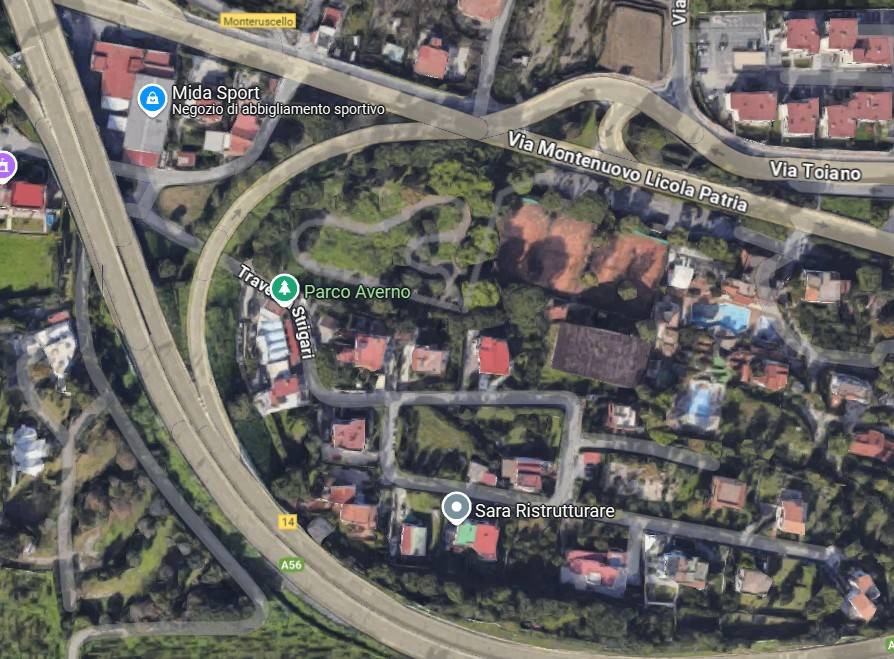 immagine annuncio 2 di 15