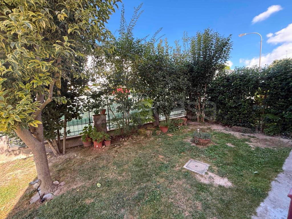 immagine annuncio 6 di 15