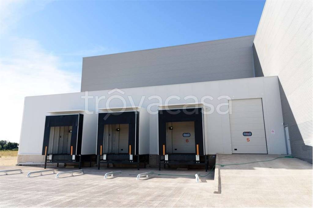 immagine annuncio 2 di 6