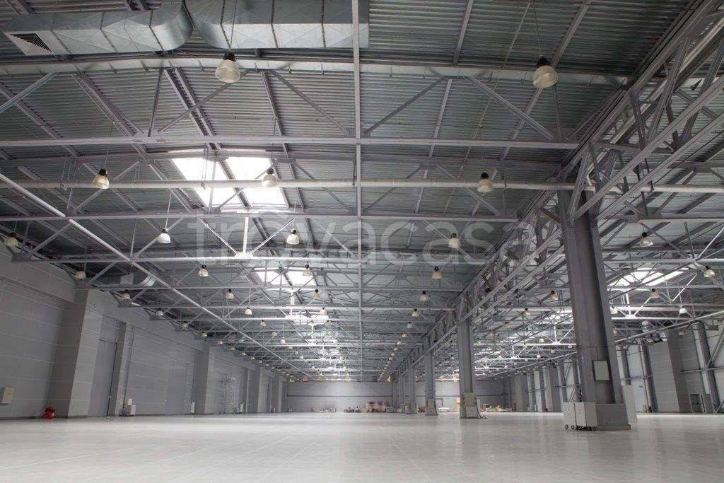 immagine annuncio 3 di 6