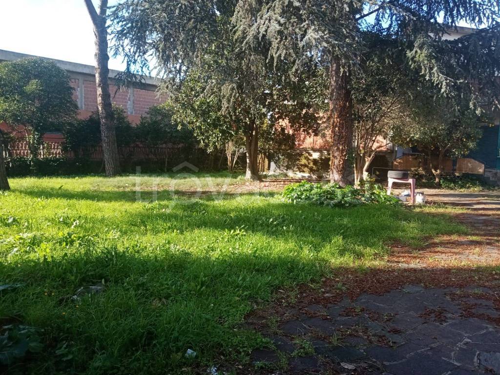 immagine annuncio 3 di 8