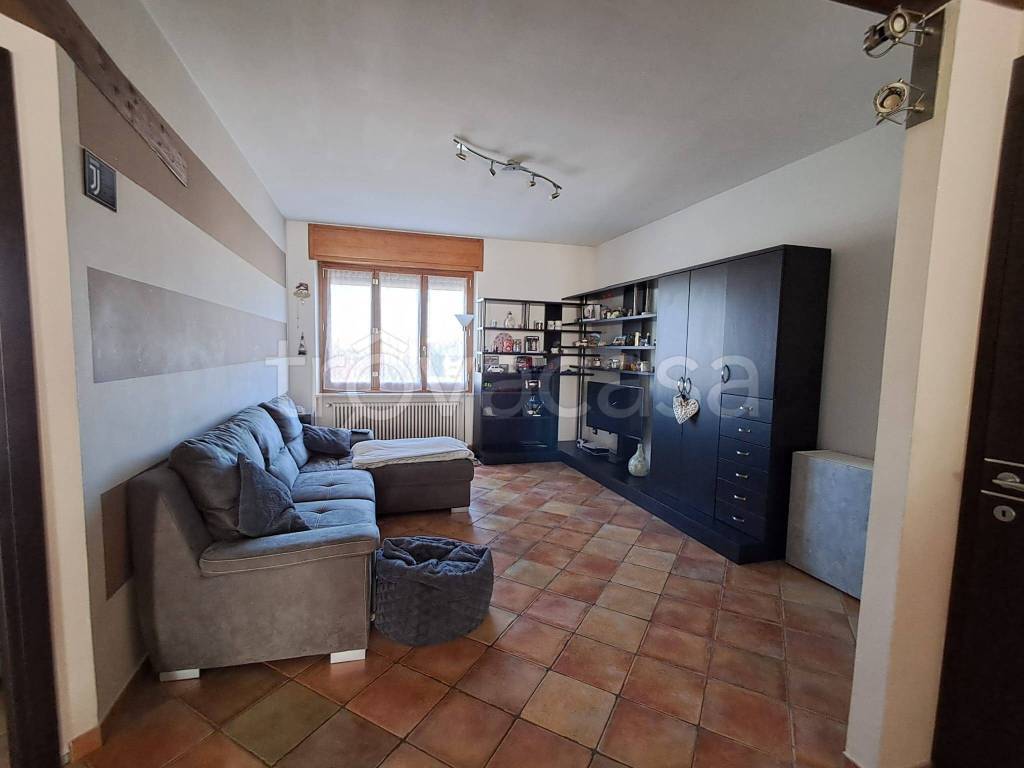 immagine annuncio 1 di 12