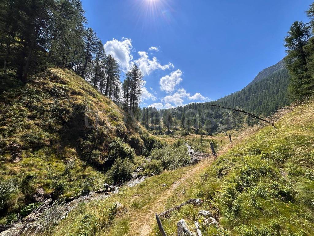 immagine annuncio 6 di 11