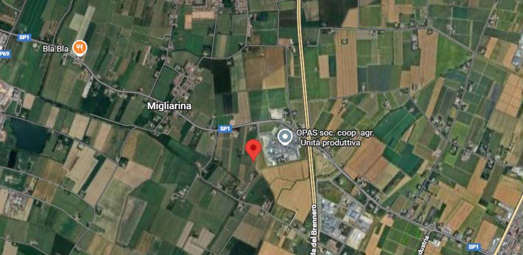 immagine annuncio 8 di 12