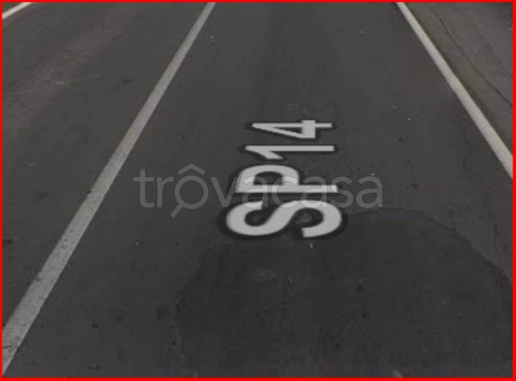 immagine annuncio 3 di 12