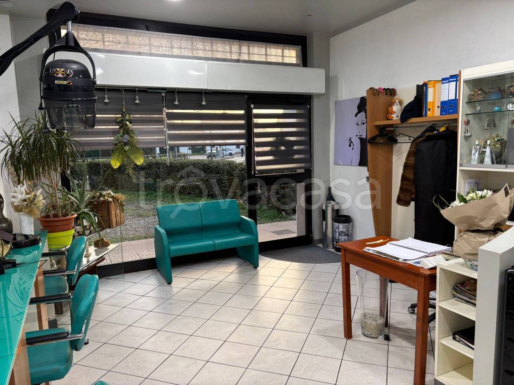 immagine annuncio 2 di 8