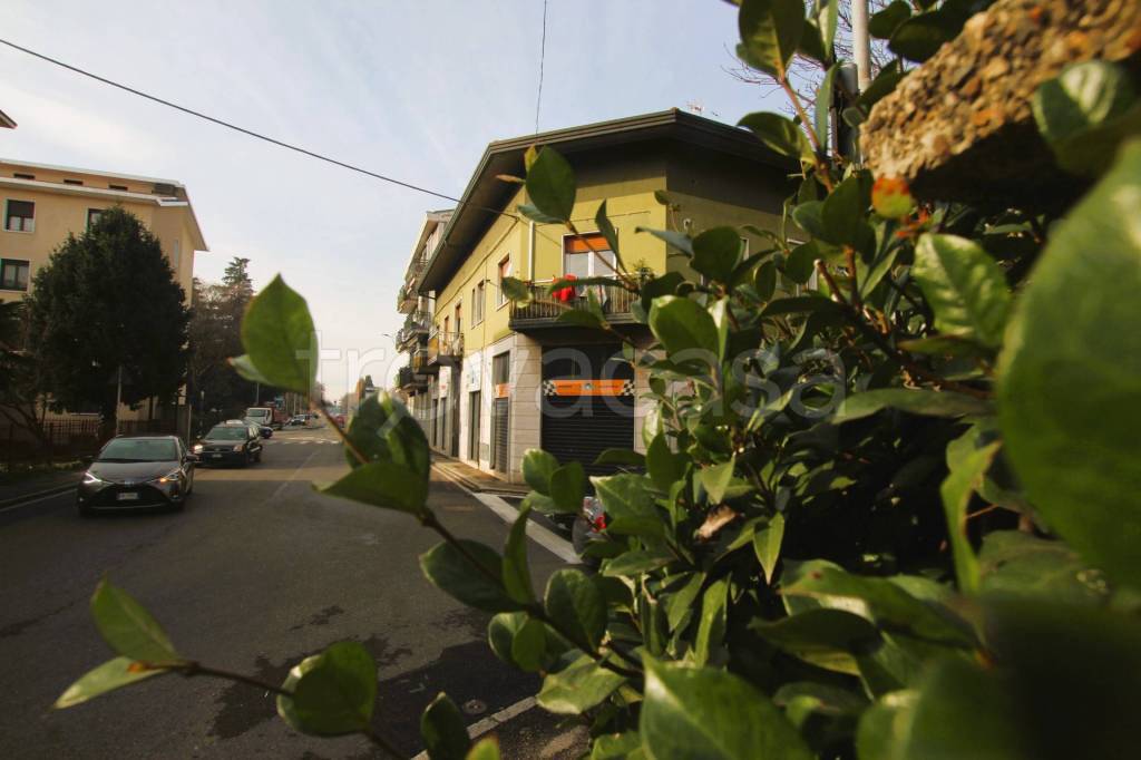 immagine annuncio 11 di 14