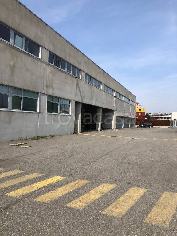 immagine annuncio 1 di 11