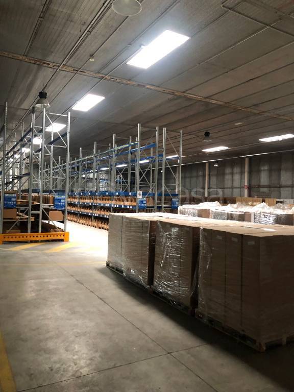 immagine annuncio 3 di 11