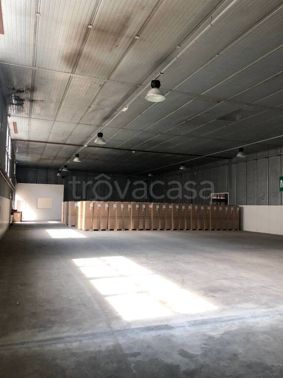 immagine annuncio 7 di 11