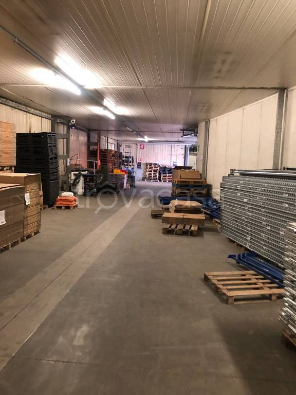 immagine annuncio 9 di 11