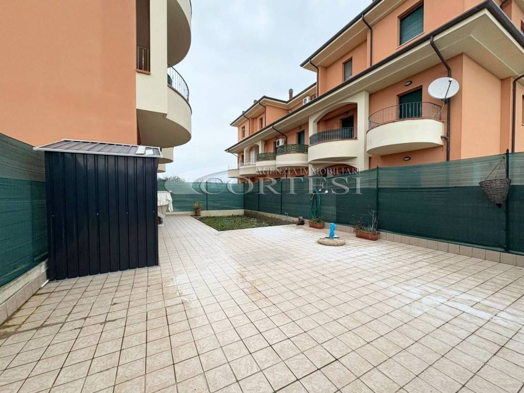 immagine annuncio 2 di 14