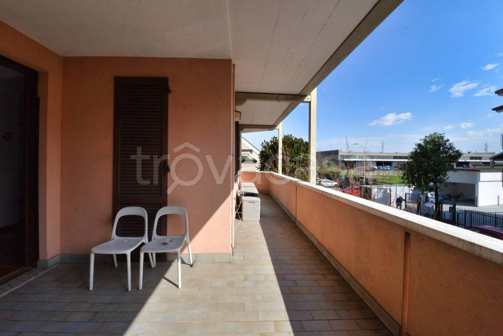 immagine annuncio 9 di 15