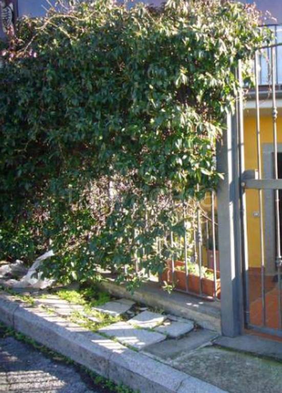 immagine annuncio 3 di 11