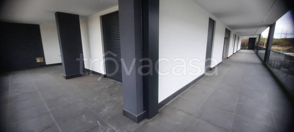 immagine annuncio 5 di 7