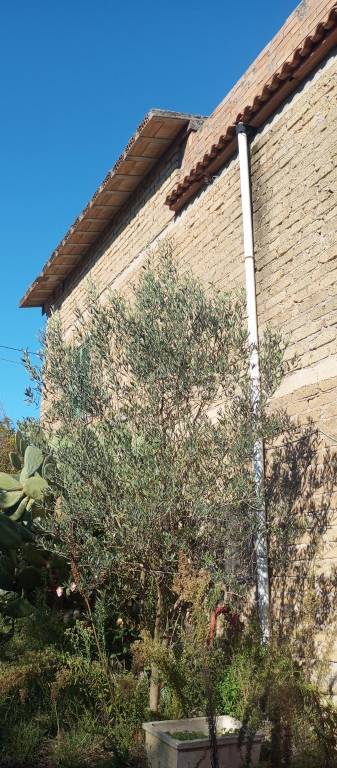 immagine annuncio 2 di 6