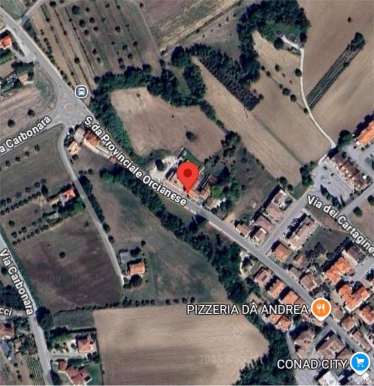 immagine annuncio 6 di 13