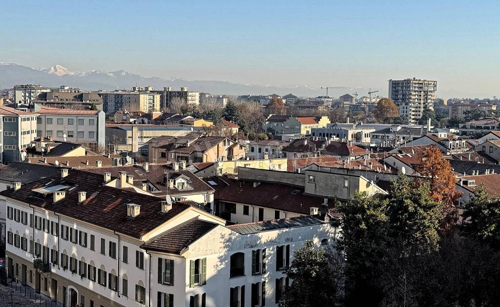 immagine annuncio 10 di 15