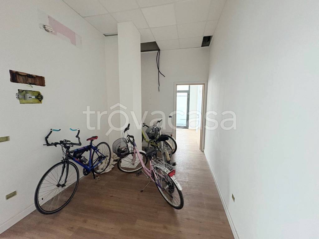 immagine annuncio 7 di 14