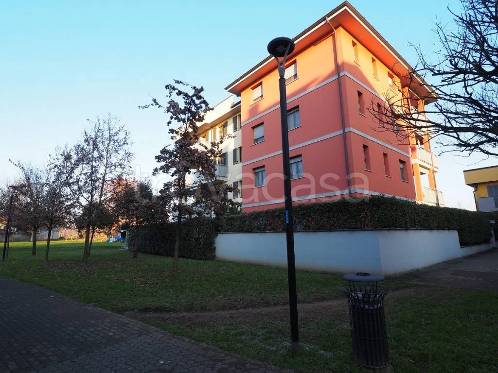 immagine annuncio 1 di 15