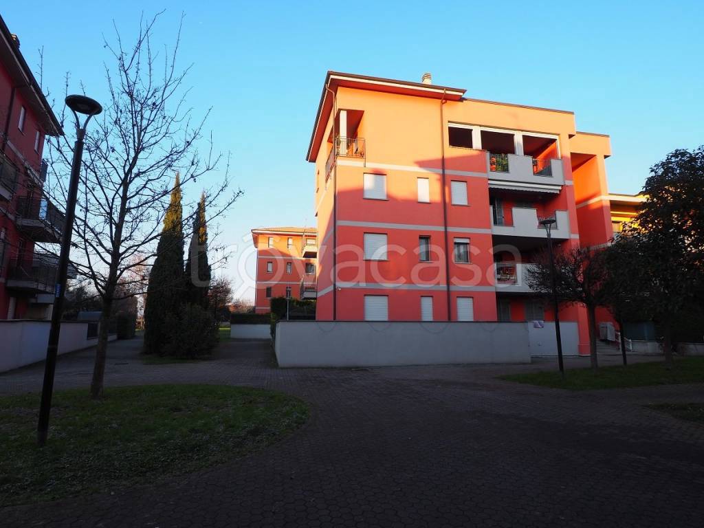 immagine annuncio 5 di 15