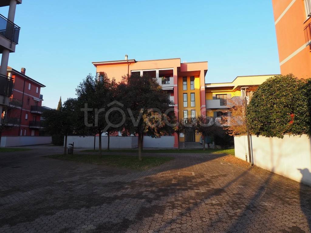 immagine annuncio 6 di 15