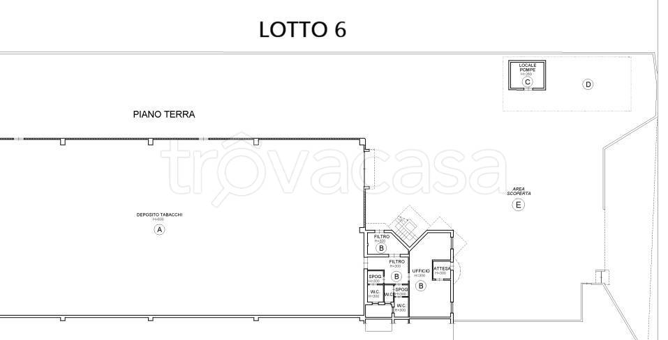 immagine annuncio 14 di 15