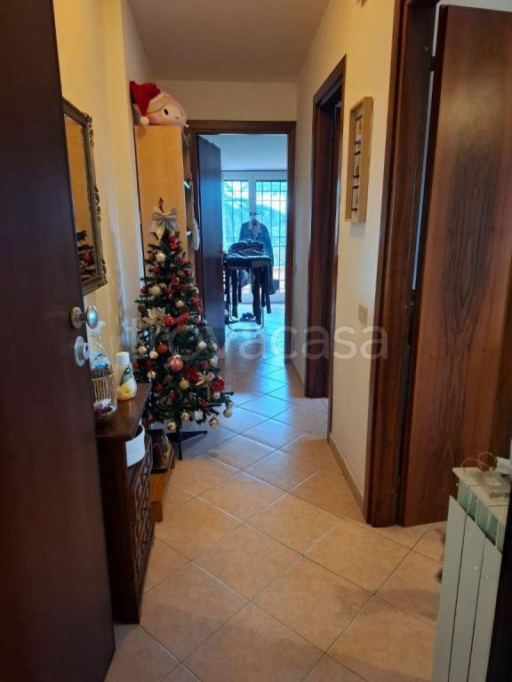 immagine annuncio 3 di 14