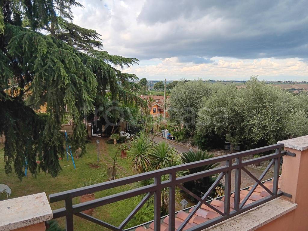 immagine annuncio 10 di 14