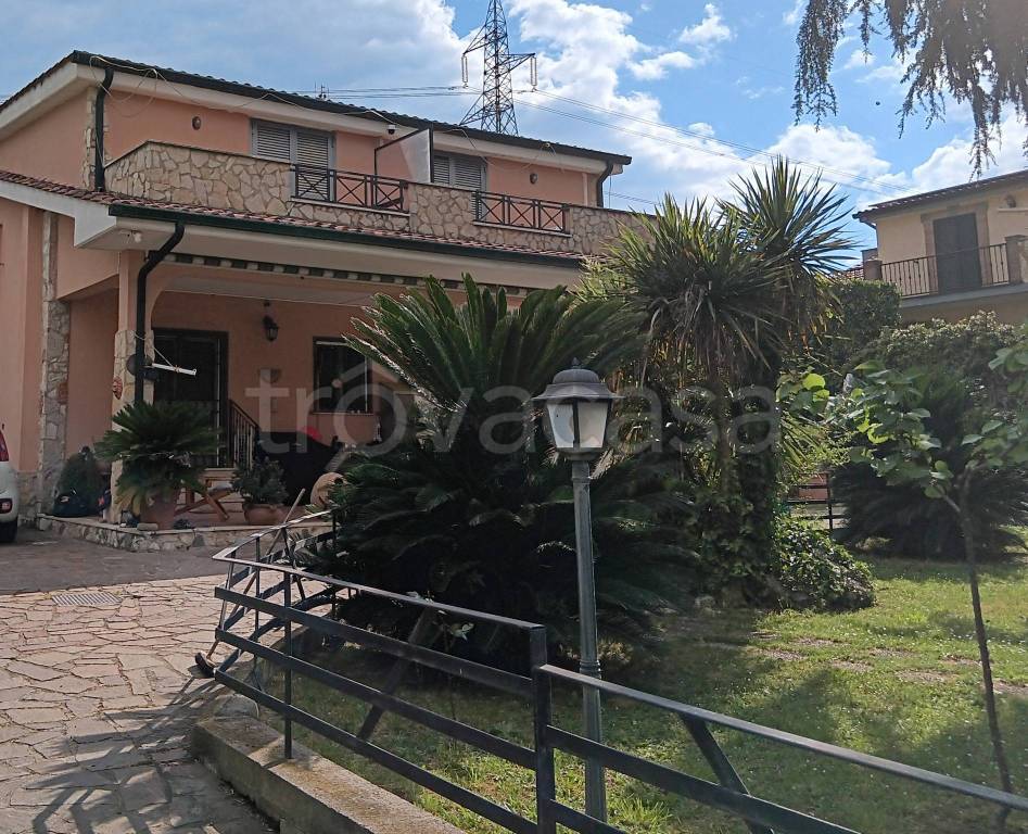 immagine annuncio 12 di 14