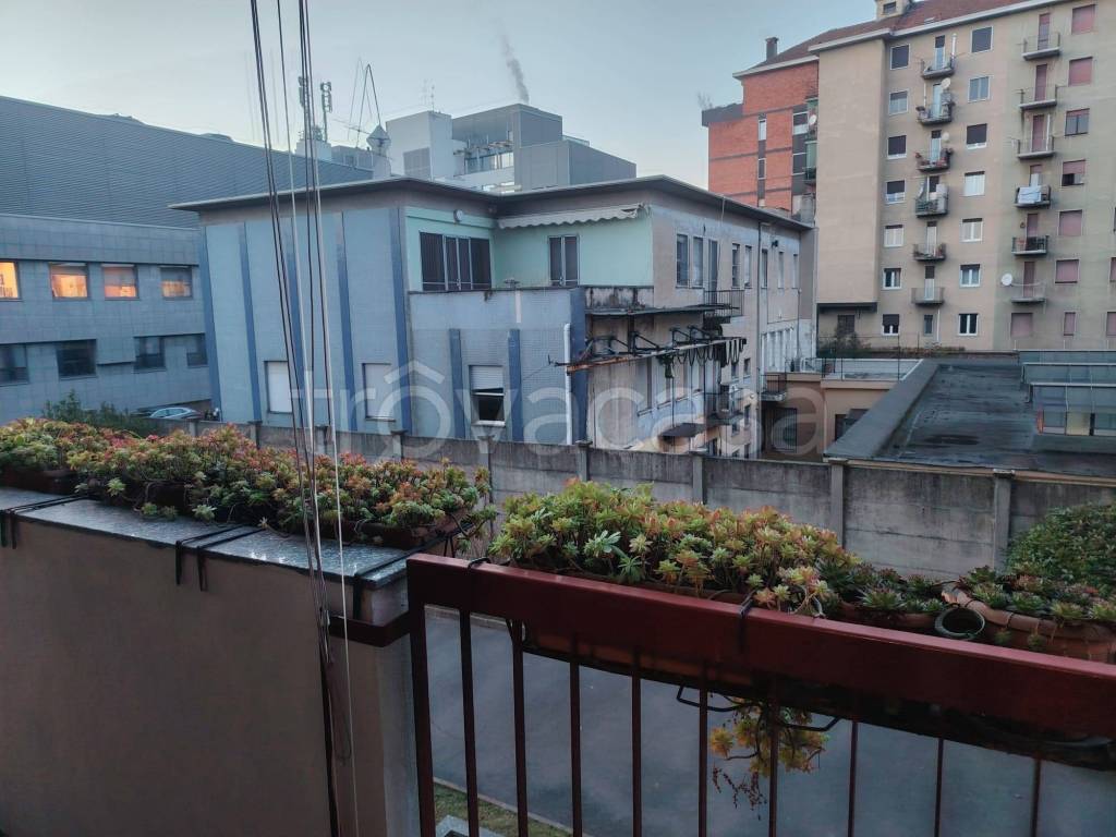 immagine annuncio 13 di 15