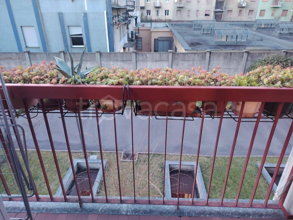 immagine annuncio 14 di 15