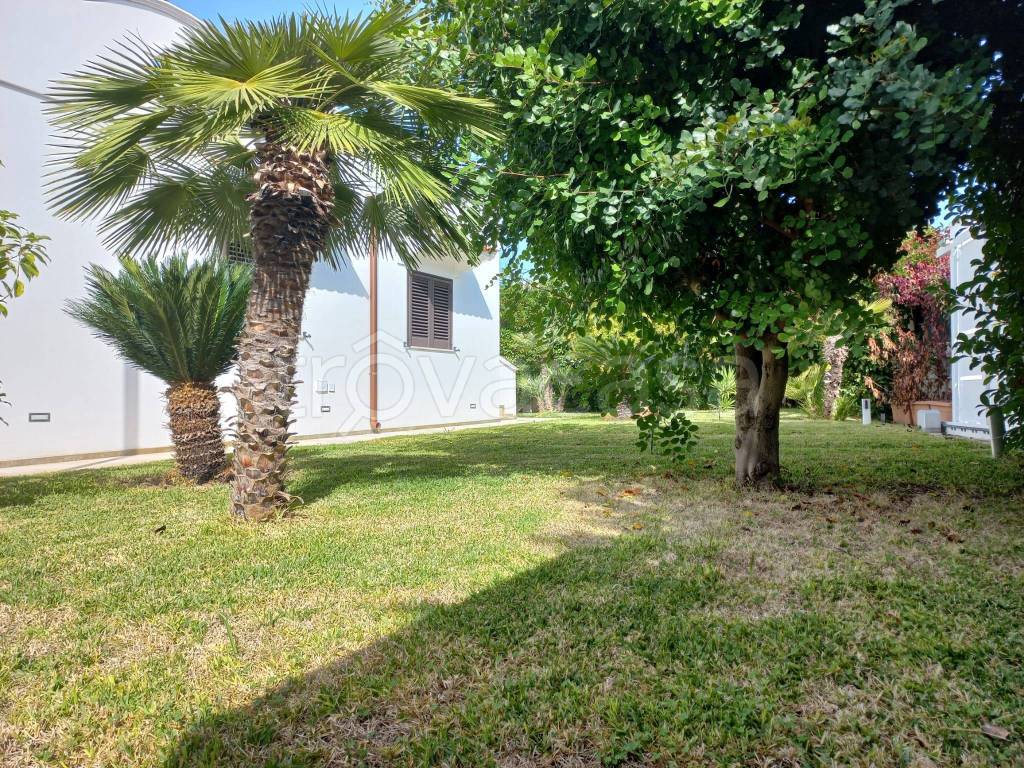 immagine annuncio 10 di 12