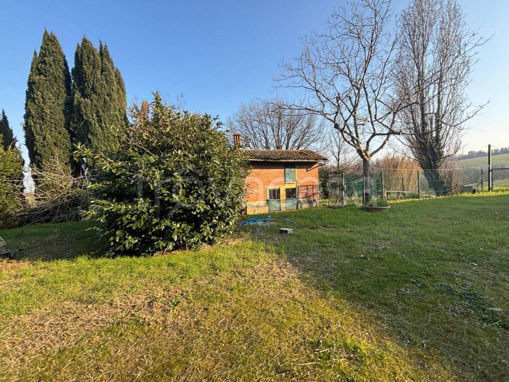 immagine annuncio 5 di 11