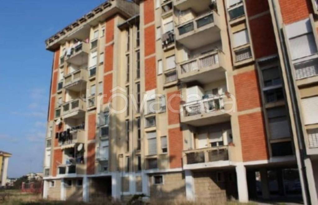 immagine annuncio 11 di 12