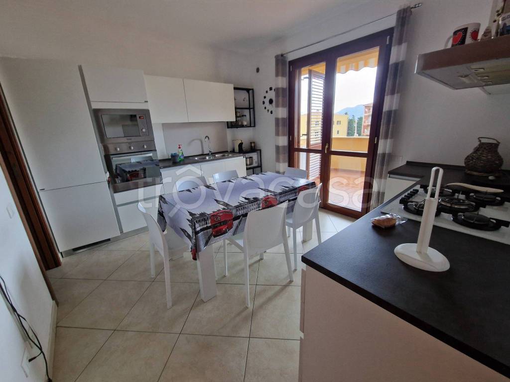 immagine annuncio 6 di 15