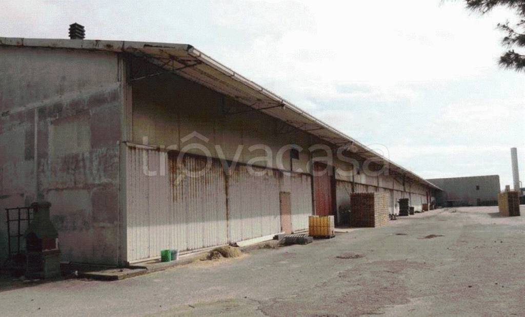 immagine annuncio 8 di 13