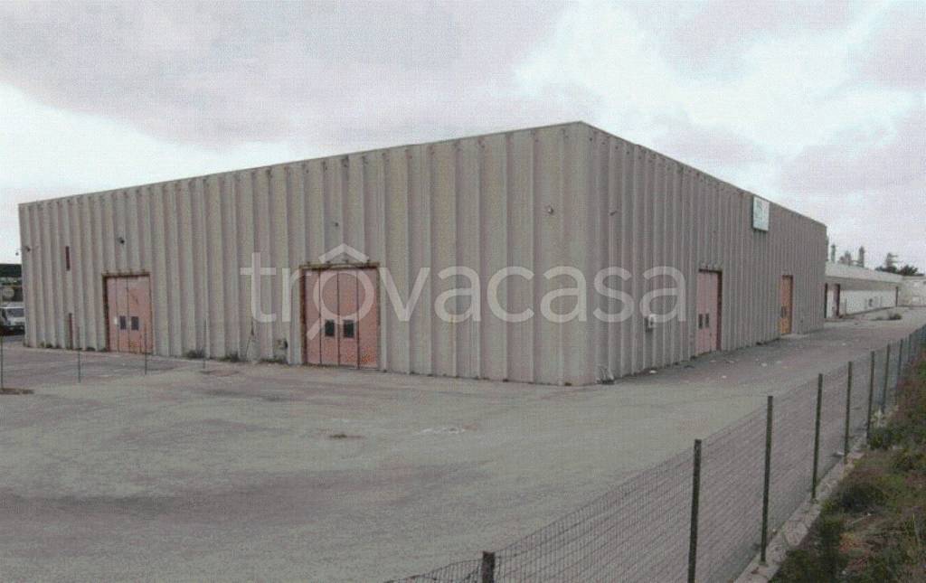 immagine annuncio 9 di 13