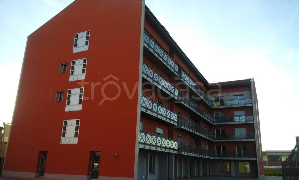 immagine annuncio 9 di 15