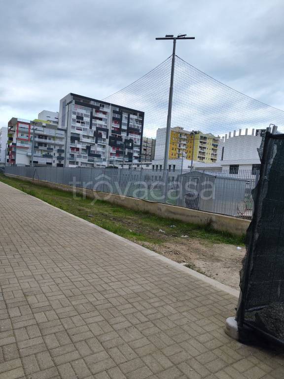 immagine annuncio 4 di 7