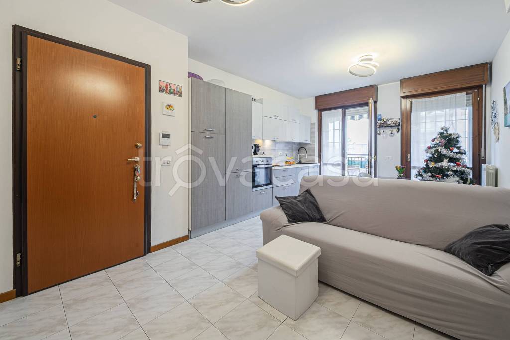 immagine annuncio 6 di 15