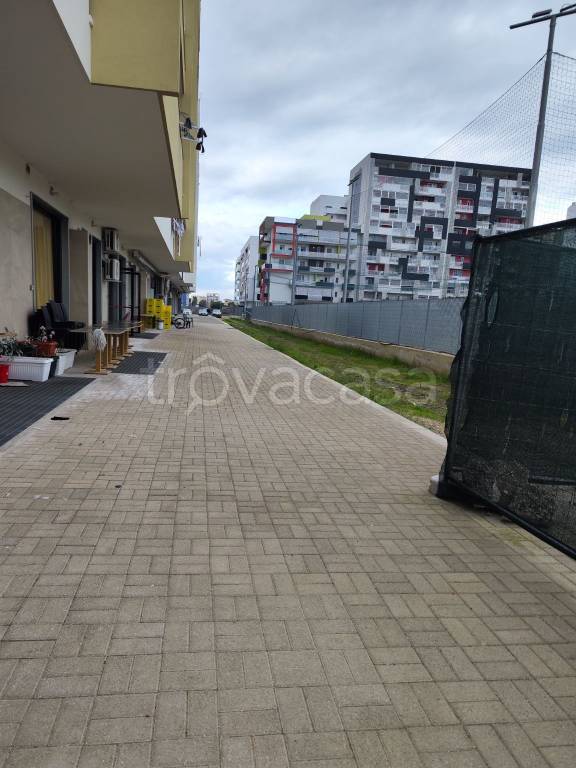 immagine annuncio 5 di 7