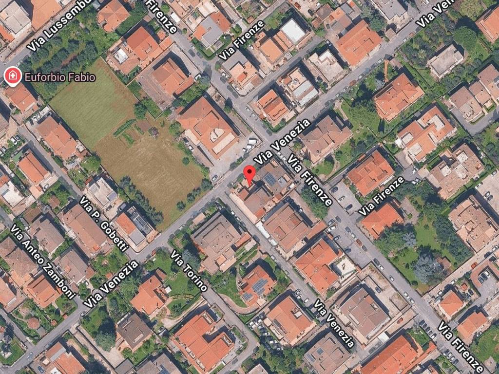 immagine annuncio 1 di 10