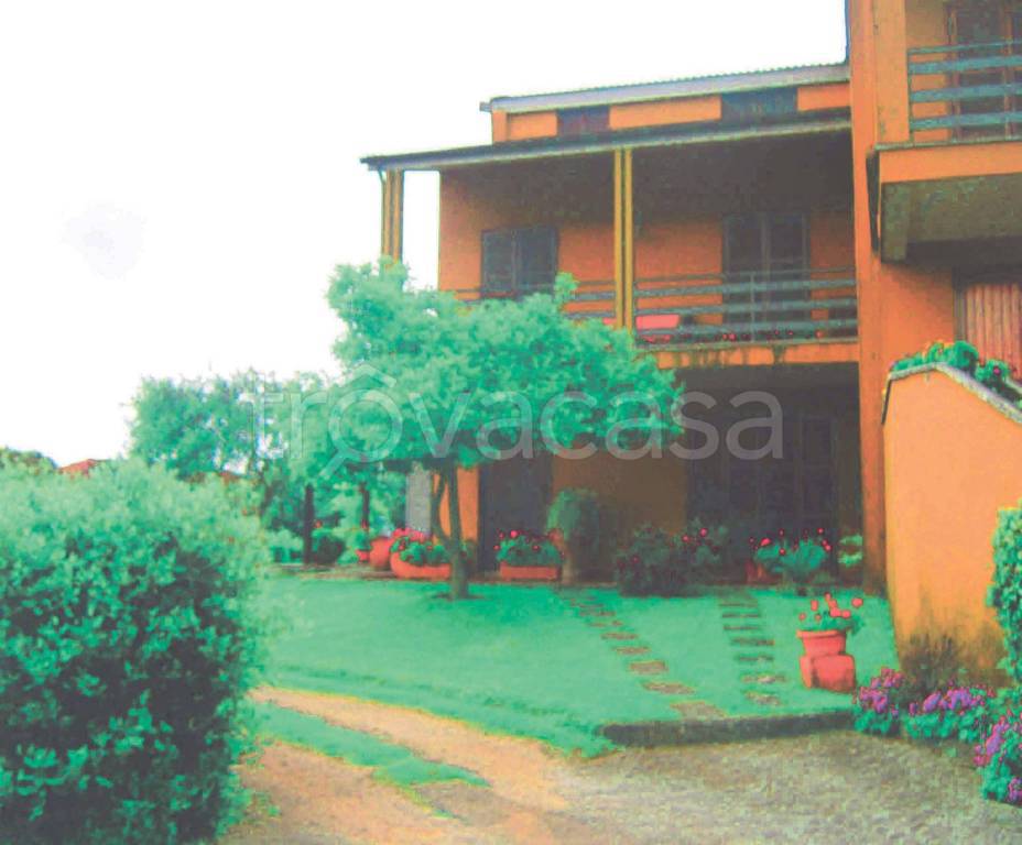 immagine annuncio 2 di 12