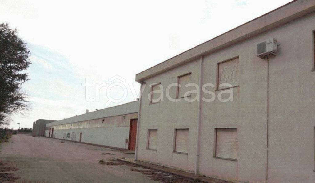 immagine annuncio 8 di 13